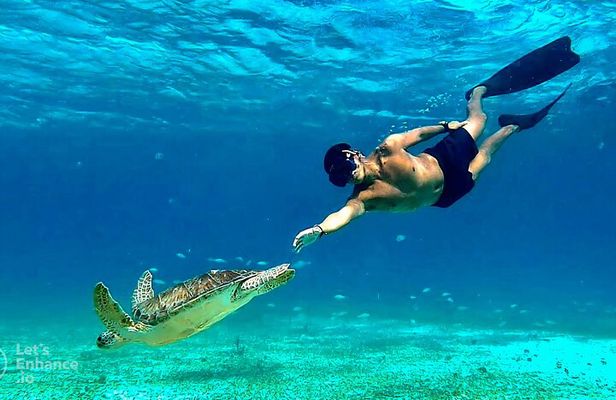 4 Hour Snorkeling Tour in Cozumel