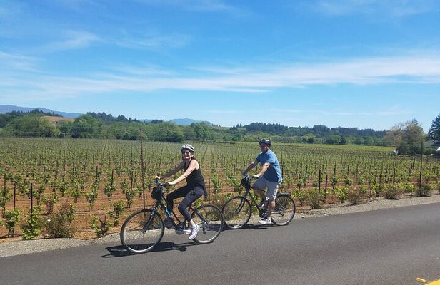 Half Day Bike Tour