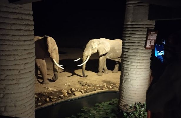 3 Days Safari Amboseli Taita Hills Saltlick Lodge