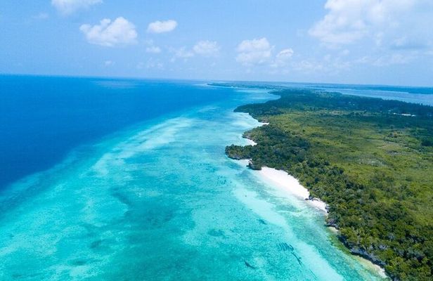 Dolphin Watching Tour & Josani Forest Sea Trip - Zanzibar