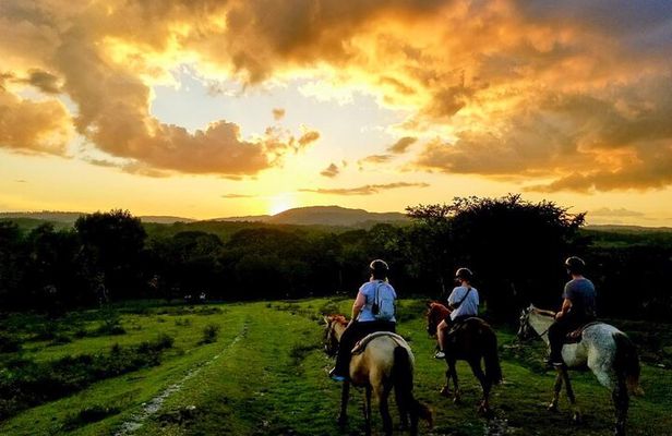 Adventure Sun Set Horse Ride