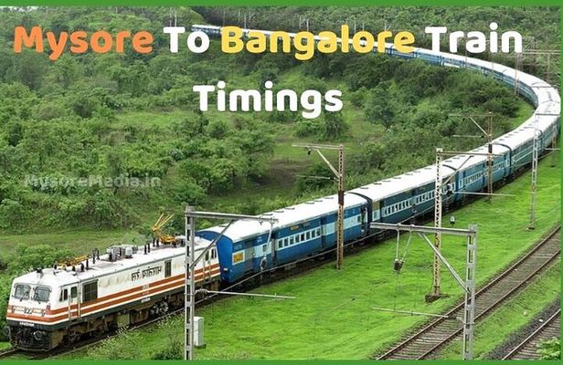 Enchanting Train Journey to Mysore & back; Visits by Walk/TukTuk
