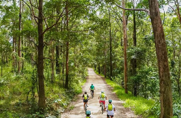 Self Guided E Bike Tour - Unicorn Falls, Rainforest & Rail Trail