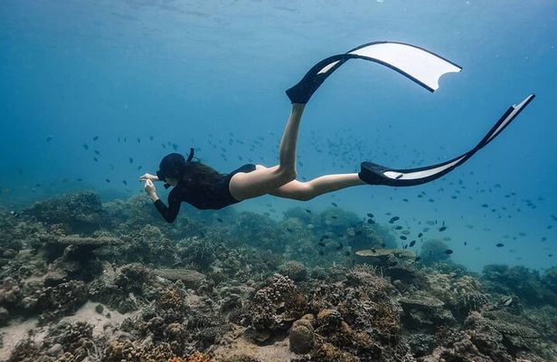 Coron Shipwrecks and Lusong Coral Garden tour (Private / Shared)