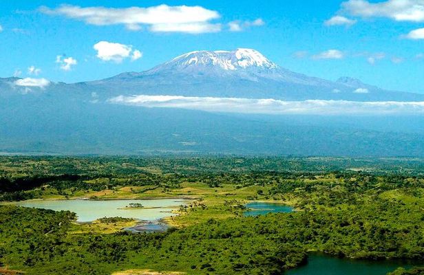 From Arusha: 7 Days Classic Safari Central Northern Circuit