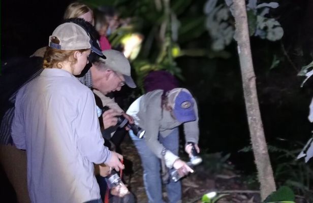  Exclusive Night Walk in La Fortuna and Natural Frog Garden .