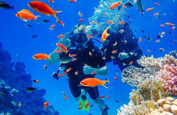 Exciteful Scuba Diving Experience in Antalya