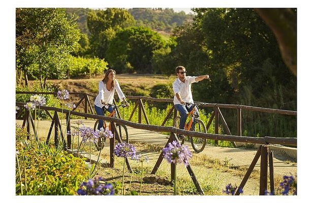 Casablanca Wine Tour