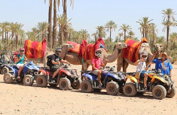 Quad bike ride 2h and camel 30min to the Palmeraie of Marrakech