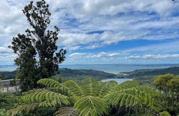 West Auckland Blacksand Beach Tour
