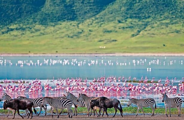 2-Day Hell's Gate, Crescent Island and Nakuru - Private Safari