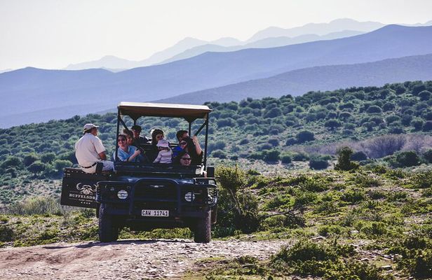2 Day Small Group Garden Route Big 5 Safari Tour from Cape Town
