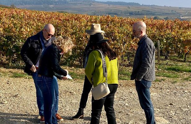 Discover the great wines of Vosne-Romanée 