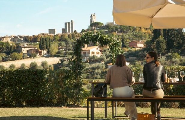 Private Wine & Oil Tasting with Lunch 