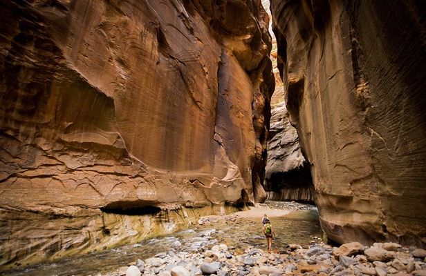 Zion Full Day Private Tour & Hike