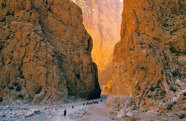 Private 8 Days Morocco Tour From Marrakech with Sahara Desert
