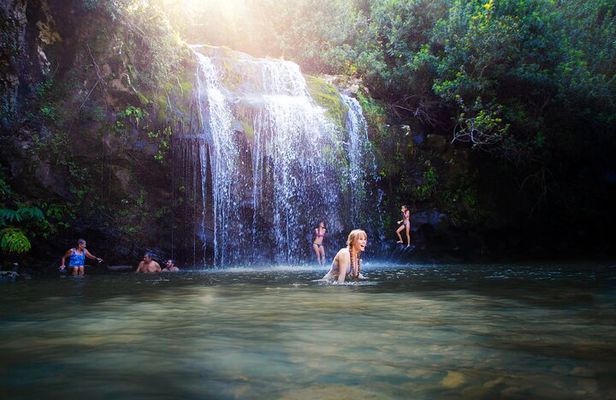 Kohala Waterfalls Small Group Adventure Tour