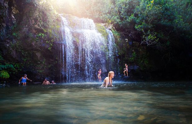 Big Island Kohala Zip and Dip Tour from Kona
