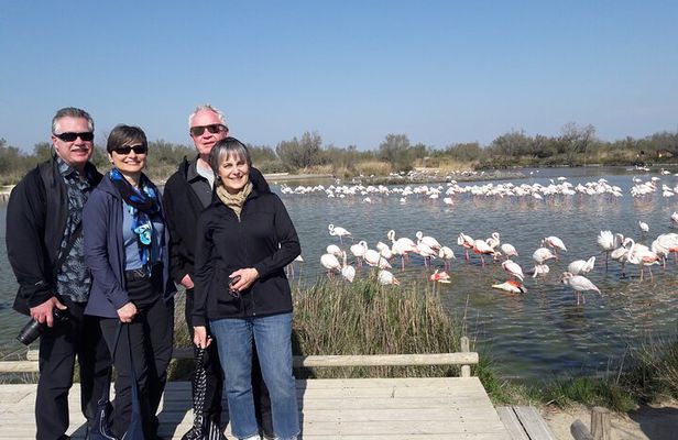 Flamingos and traditions of Camargue Nature Park