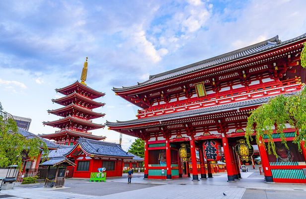 Tokyo 8hr Private Tour with Licensed Guide from Yokohama