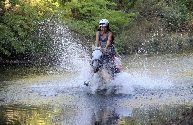Fethiye Horse Riding Experience With Free Hotel Transfer Service