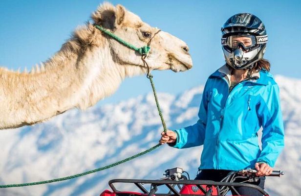 Agafay Desert Camel Ride & Quad Bike