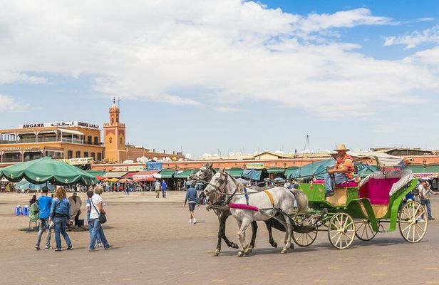 Marrakech Day Trip with Camel Ride