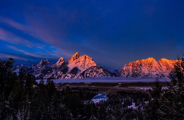 Grand Teton Winter Wildlife Tour