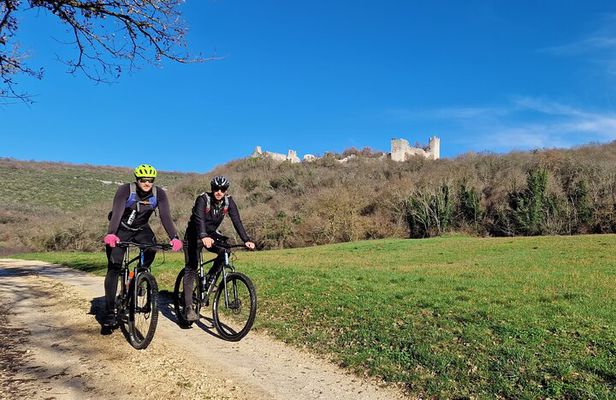 Lim bay to Rovinj bike tour from