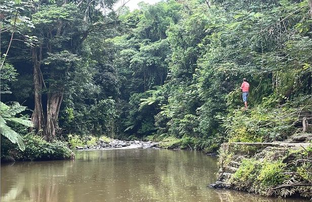 Private Half-Day Tour to El Yunque Rainforest