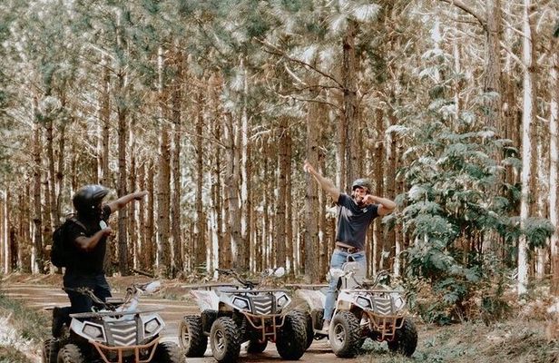 Most Exciting Adventurous Activities and the Only Quadbike Tours in Tsitsikamma