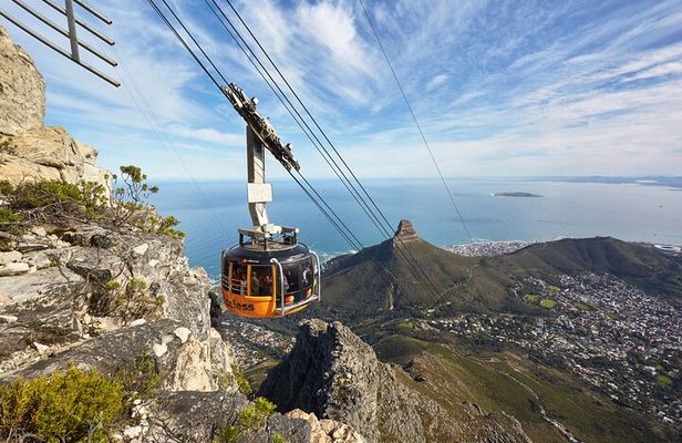 Table Mountain-Wines-Penguins-Cape Point All Inclusive Group Tour
