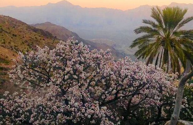 Nakhal Hotspring and Wakan Village Private Full Day Tour