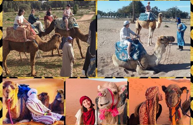 Dromedary Safari: 2 hours