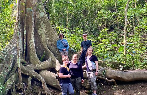 Rainforest Wildlife, Panama Hat makers, Traditional Cuisine. SHORE TOUR