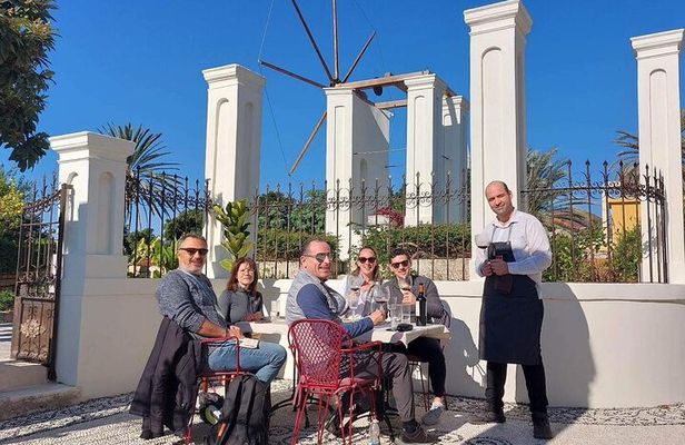 Wine and Medieval History Private Tour in Rhodes