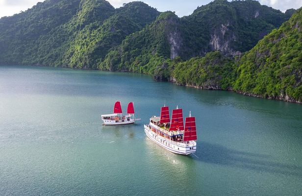 Halong Amazing Sail Luxury 1 Day Small Group Tour 7-Hour Cruising