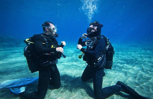 Private Scuba Diving in Tenerife – Certified Instructor & Photos