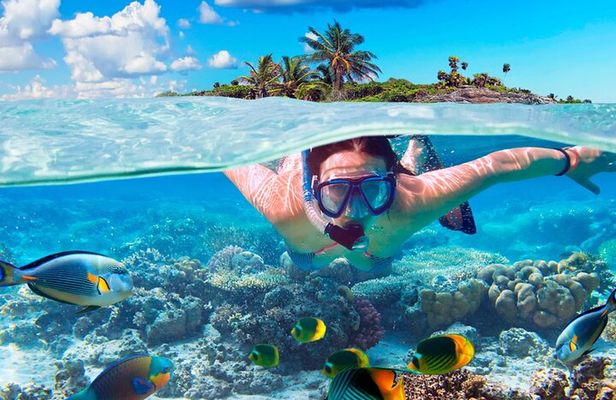 Full package Dune Buggy and Snorkeling Cruise