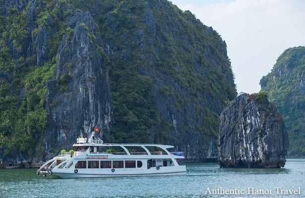 Alova Premium Cruise Halong Deluxe Day Tour with Transfer & Meal