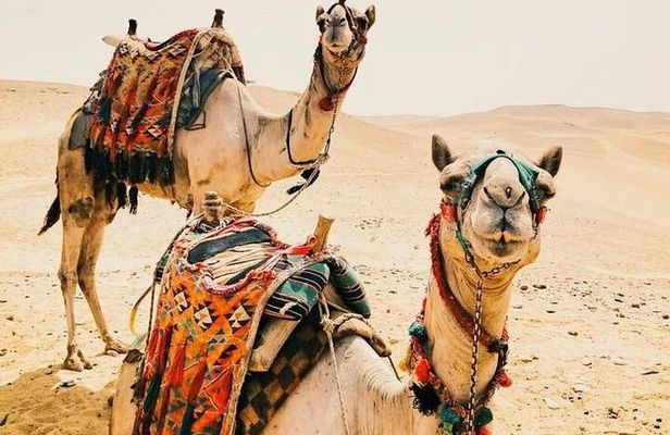 Luxury 5 Days Desert Tour From Marrakech 2025