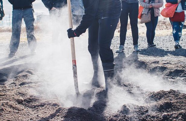 Small group Golden Circle Experience with Geothermal Bakery