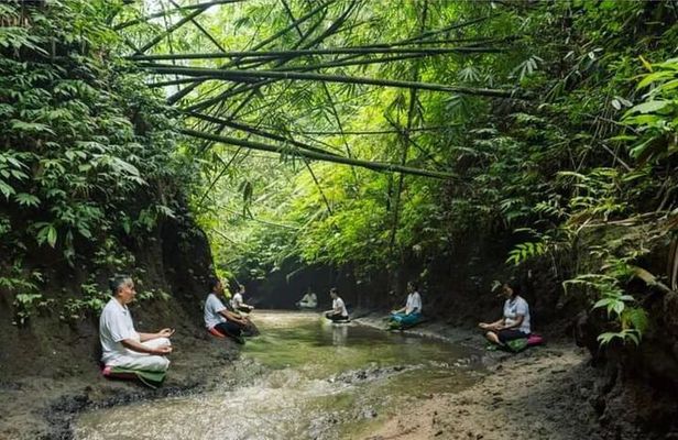 Bali Spiritual: Palm Reading, Purification, and Healing