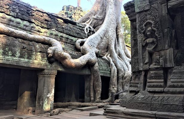 Angkor Iconic Temples with Sunrise