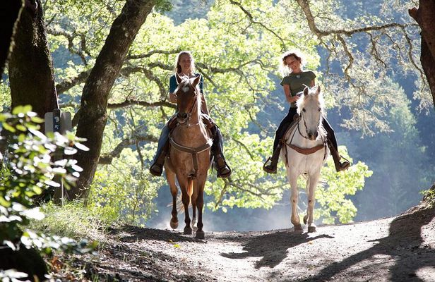 Sydney - Hunter Valley Wine Tasting & Horse Riding Private Tour