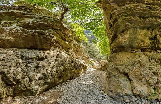 Imbros Gorge Hiking from Chania