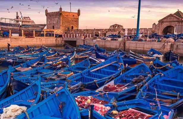 Essaouira Private Day Trip from Marrakech
