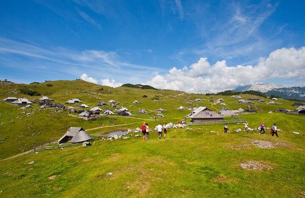 Velika planina and Logarska dolina with picnic (private tour)