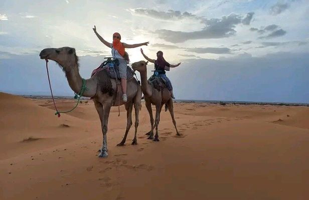 Merzouga Desert Campsite &Camel Excursions
