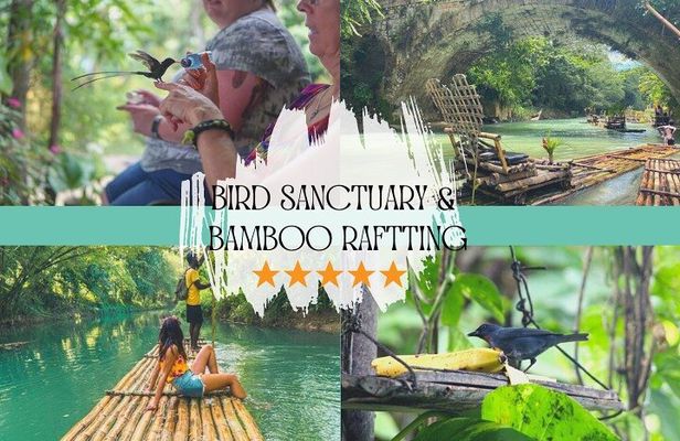 Bird Sanctuary and/or Lethe Bamboo Rafting from Montego Bay